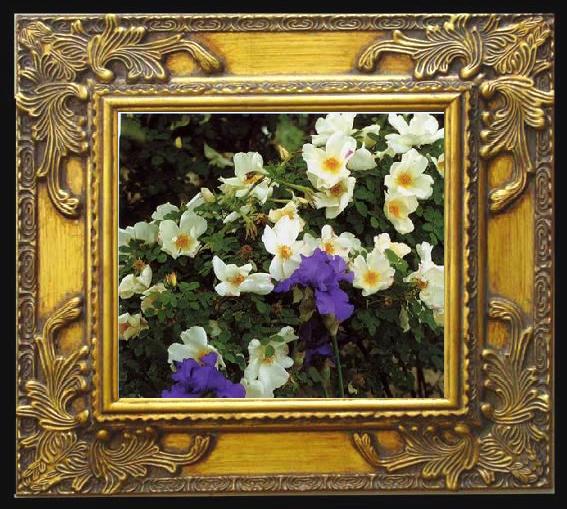 framed  unknow artist Still life floral, all kinds of reality flowers oil painting  383, Ta070